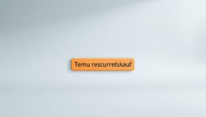 Temu bezahlen auf Rechnung